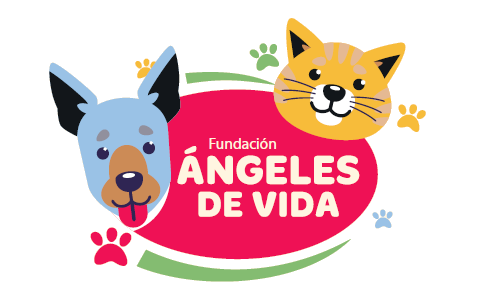 Logotipo Oficial Ángeles de Vida